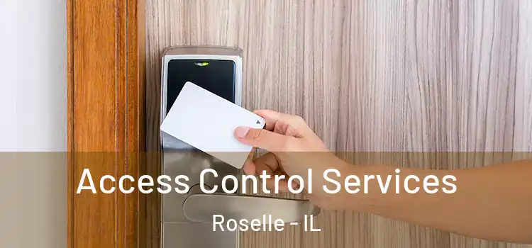 Access Control Services Roselle - IL