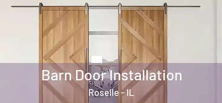 Barn Door Installation Roselle - IL