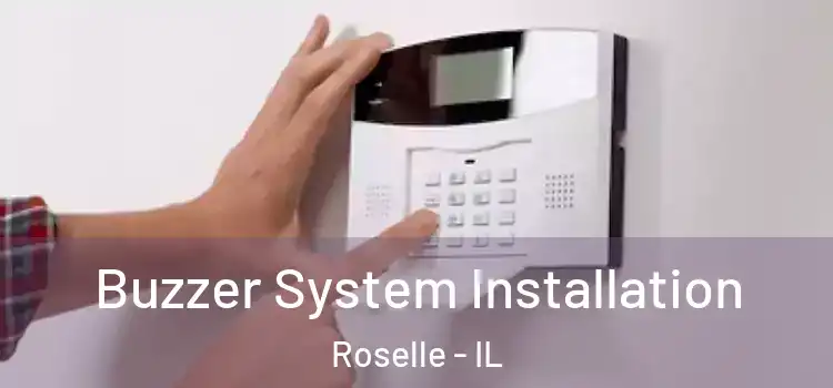 Buzzer System Installation Roselle - IL