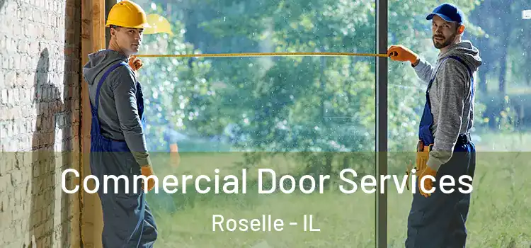 Commercial Door Services Roselle - IL