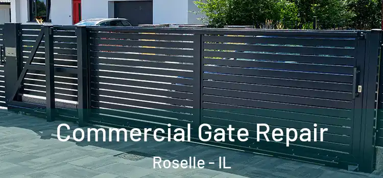 Commercial Gate Repair Roselle - IL