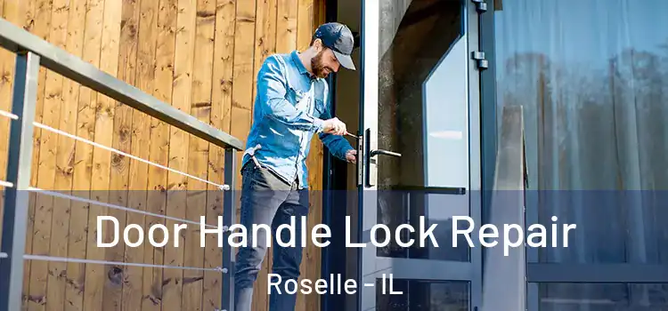Door Handle Lock Repair Roselle - IL