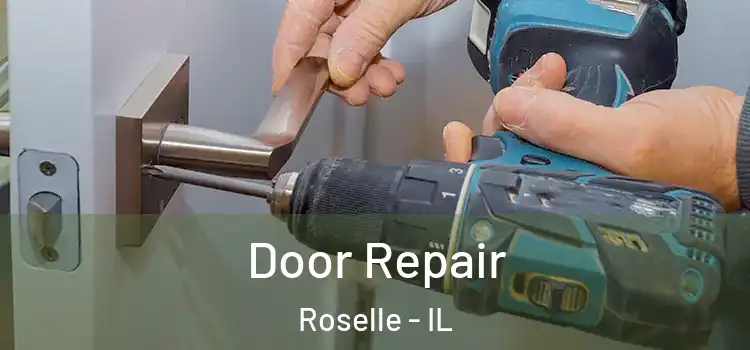 Door Repair Roselle - IL