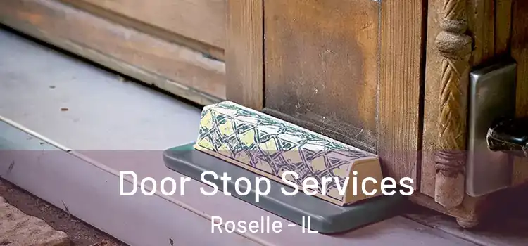 Door Stop Services Roselle - IL