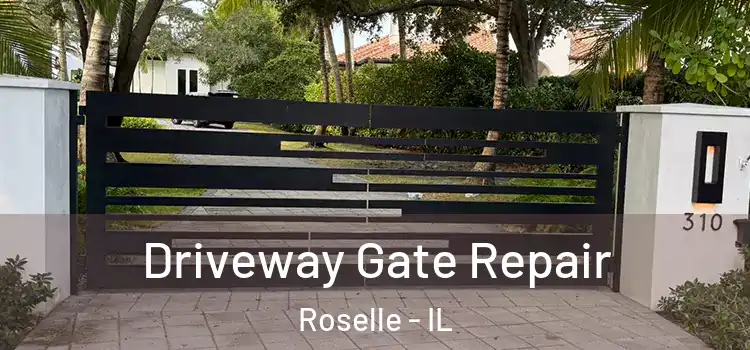 Driveway Gate Repair Roselle - IL