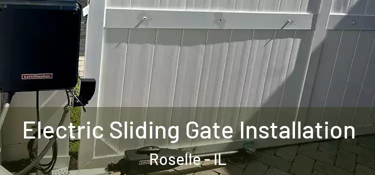 Electric Sliding Gate Installation Roselle - IL