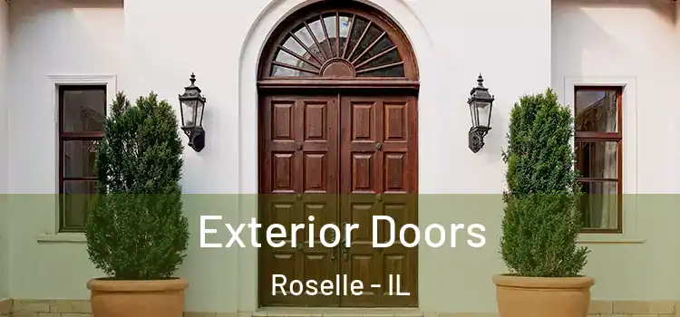 Exterior Doors Roselle - IL