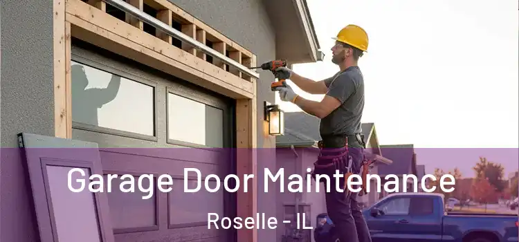 Garage Door Maintenance Roselle - IL