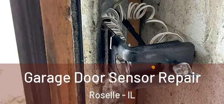 Garage Door Sensor Repair Roselle - IL
