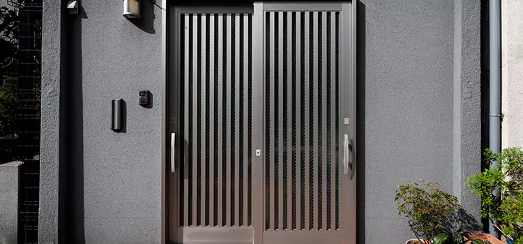 Specialized Steel Door Services in Roselle, IL