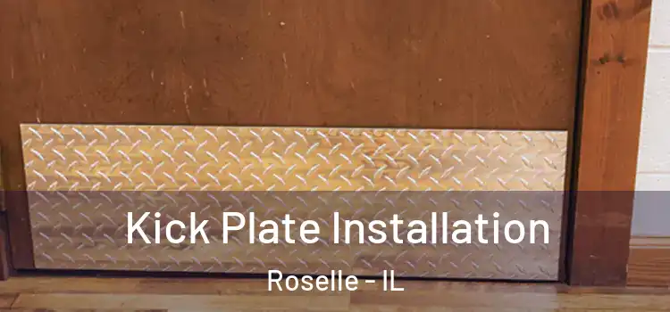 Kick Plate Installation Roselle - IL