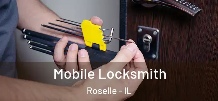 Mobile Locksmith Roselle - IL