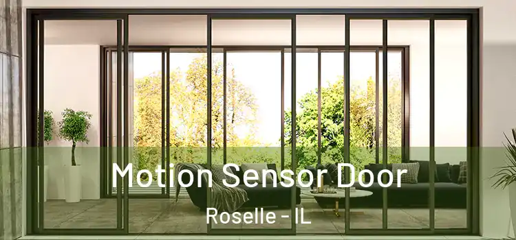 Motion Sensor Door Roselle - IL