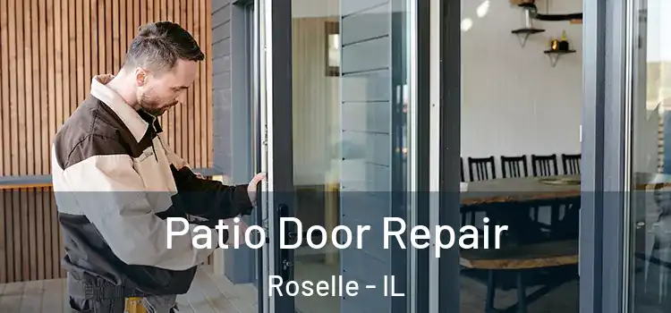 Patio Door Repair Roselle - IL