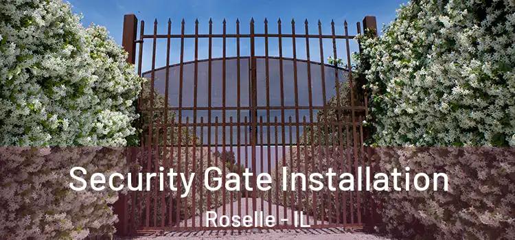 Security Gate Installation Roselle - IL