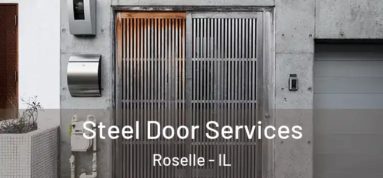 Steel Door Services Roselle - IL